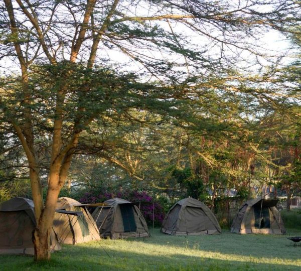Burch's Resort Naivasha