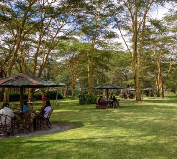 Lake Naivasha Crescent Camp