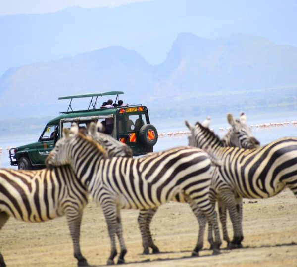 Lake Elmenteita Serena Camp