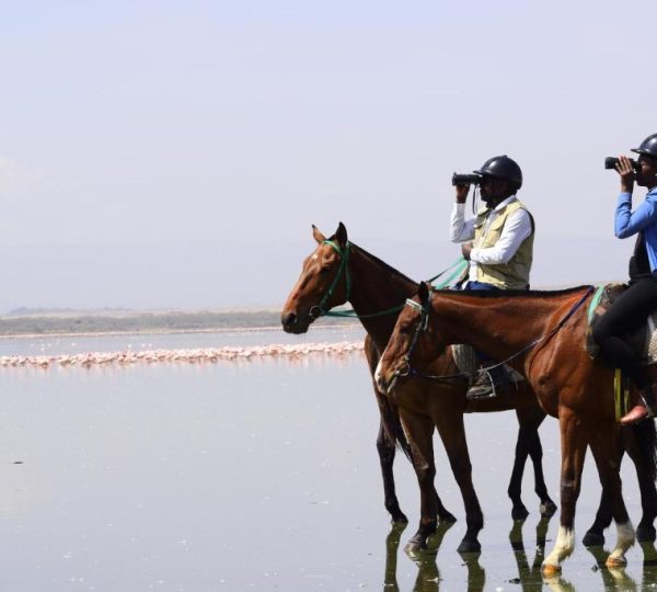 Lake Elmenteita Serena Camp
