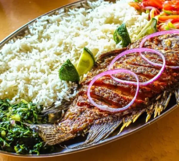 Olive Resort Naivasha