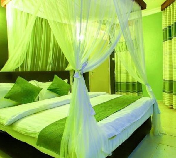 Olive Resort Naivasha