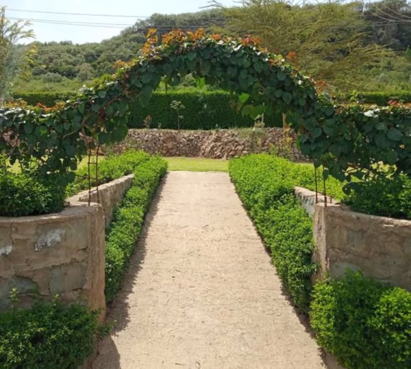 Naivasha Rocky Eco Lodge