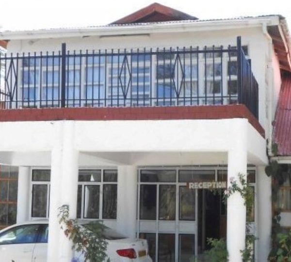 The Yellow Green Hotel